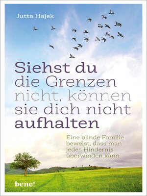 cover image of Siehst du die Grenzen nicht, können sie dich nicht aufhalten
